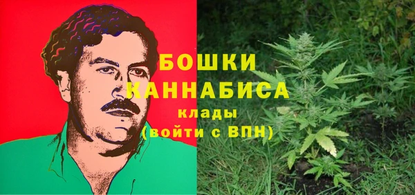 МДПВ Вязьма