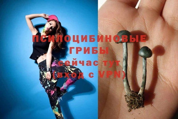 МДПВ Вязьма