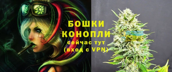 индика Горнозаводск