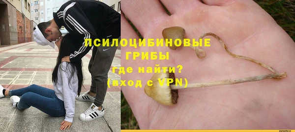 МДПВ Вязьма