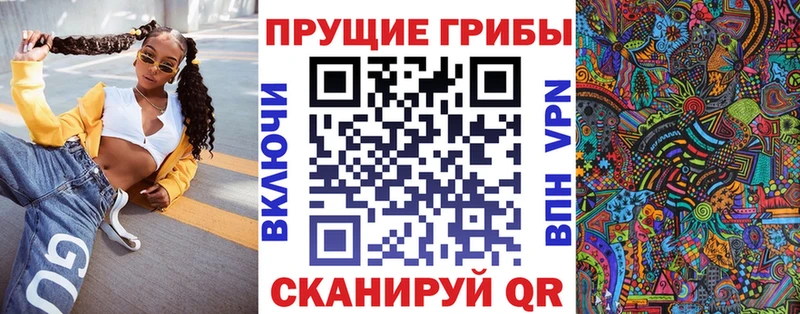 Купить Биробиджан Галлюциногенные грибы Psilocybine cubensis